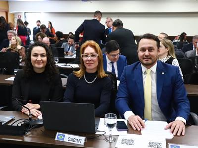 Foto da Notícia: Bancada de MT participa de decisões em pautas nacionais